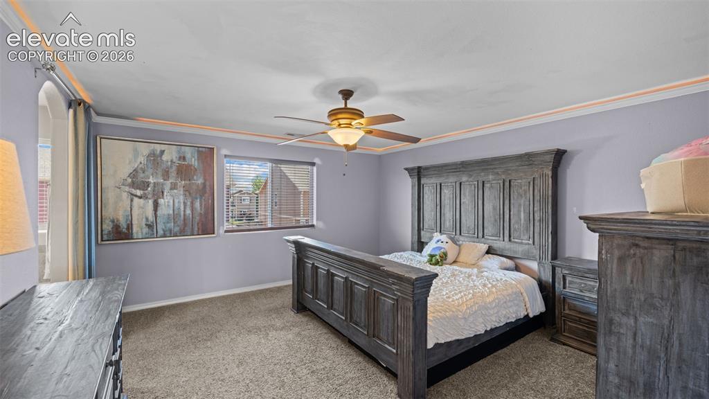 9559 Desert Lily Circle Colorado Springs CO 80925