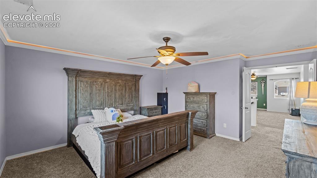 9559 Desert Lily Circle Colorado Springs CO 80925