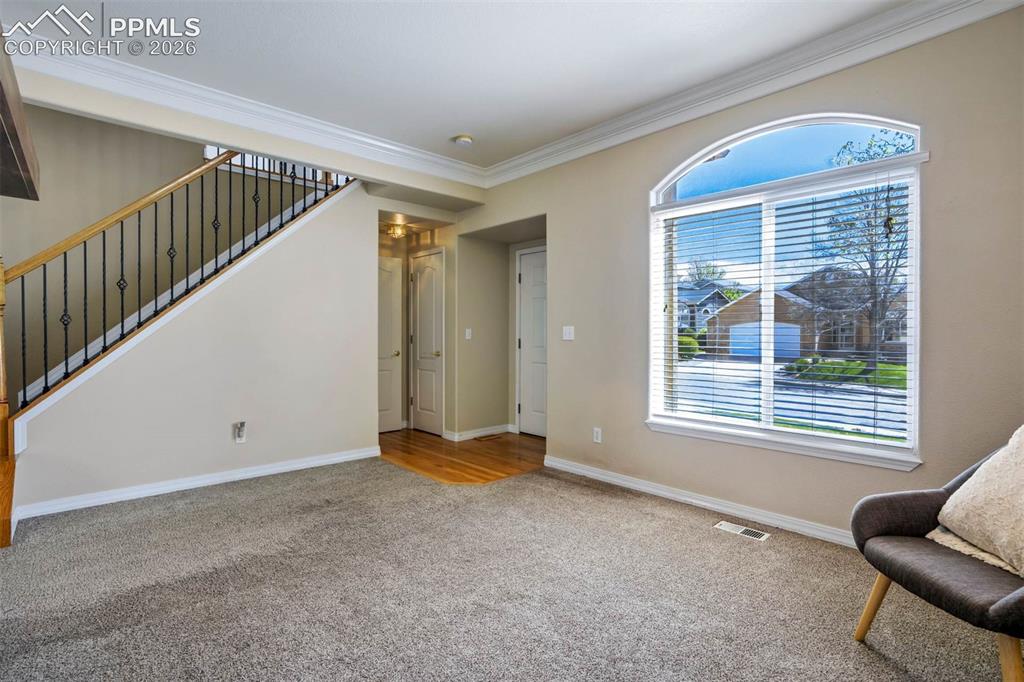 504 Silver Mine Drive Colorado Springs CO 80905