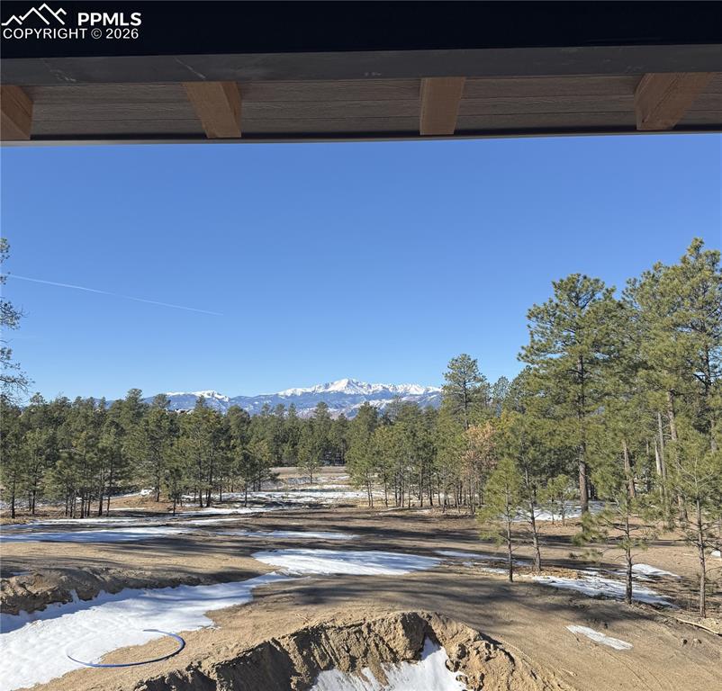14432 Quartz Creek Drive Colorado Springs CO 80908