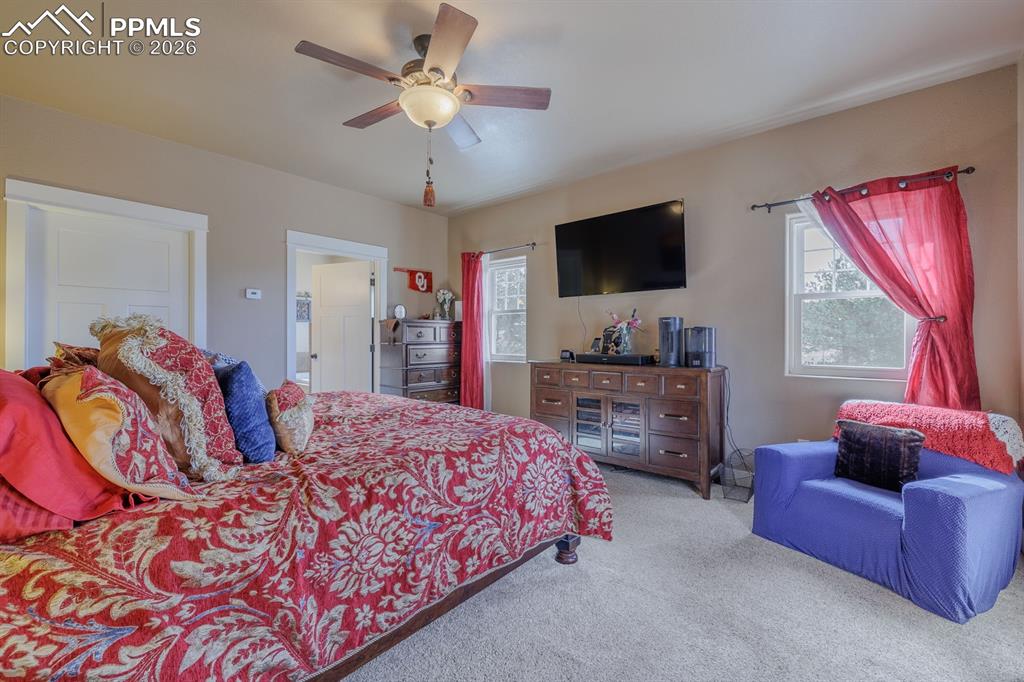 293 Daniwood Grove Florissant CO 80816