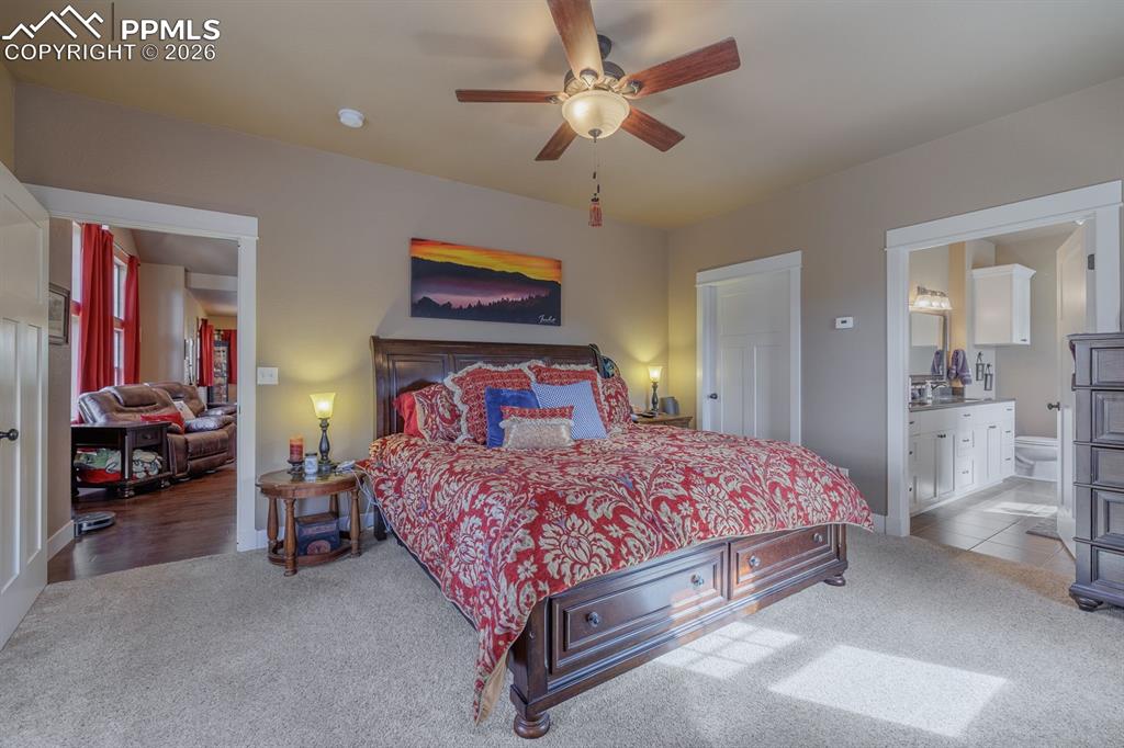 293 Daniwood Grove Florissant CO 80816