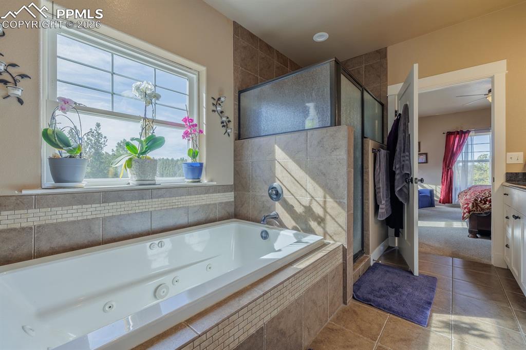 293 Daniwood Grove Florissant CO 80816