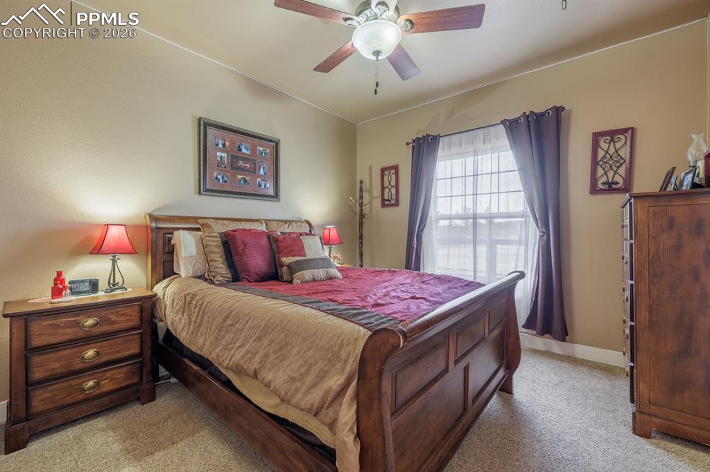 293 Daniwood Grove Florissant CO 80816