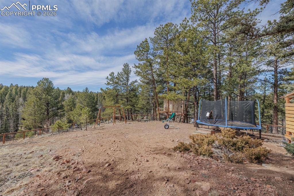 293 Daniwood Grove Florissant CO 80816