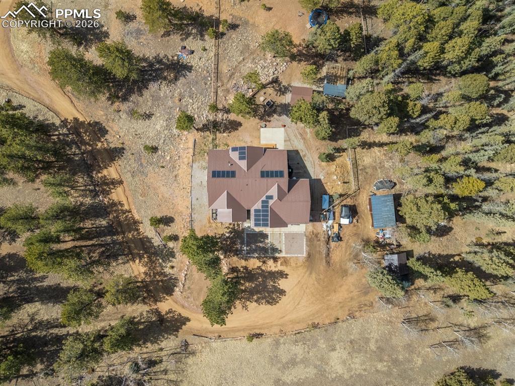 293 Daniwood Grove Florissant CO 80816