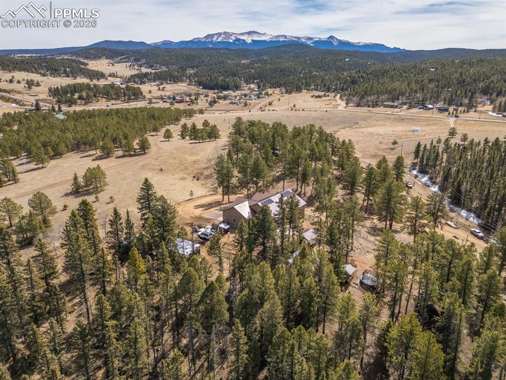 293 Daniwood Grove Florissant CO 80816