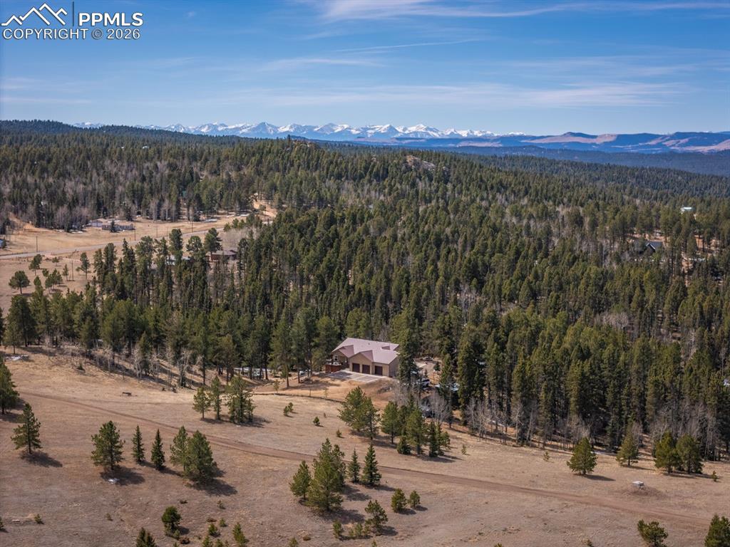 293 Daniwood Grove Florissant CO 80816