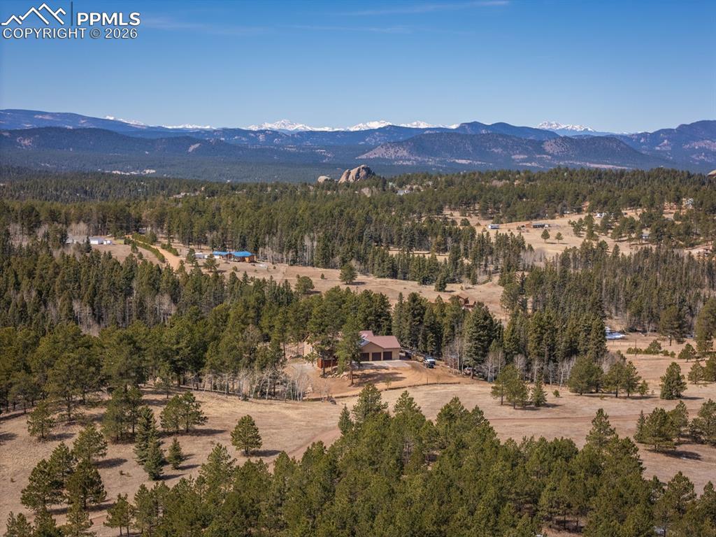 293 Daniwood Grove Florissant CO 80816