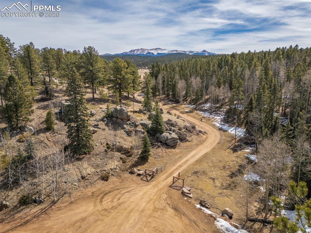 293 Daniwood Grove Florissant CO 80816