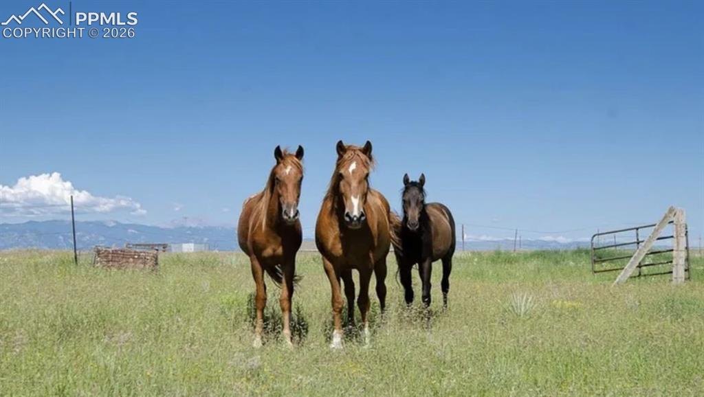 10025 Milne Road Colorado Springs CO 80928