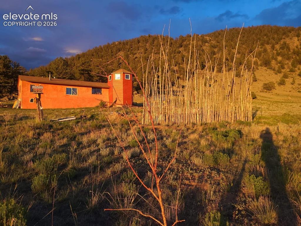 2030 Puma Hills Road Lake George CO 80827