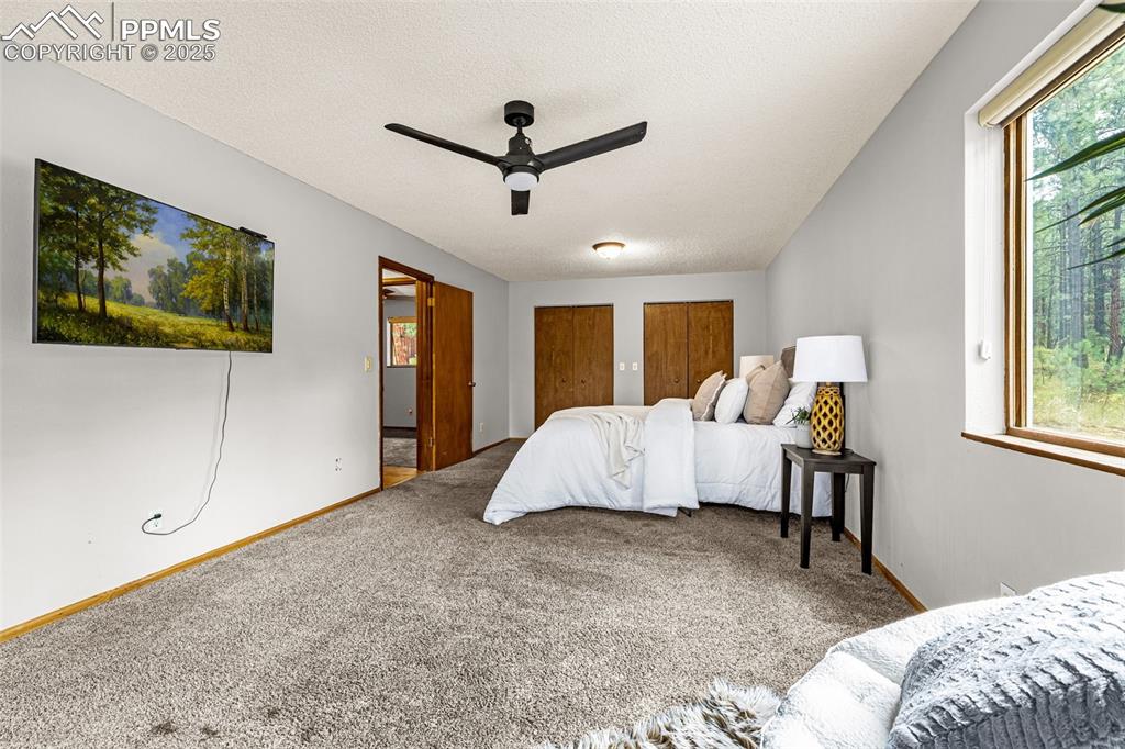 15845 Roller Coaster Road Colorado Springs CO 80921