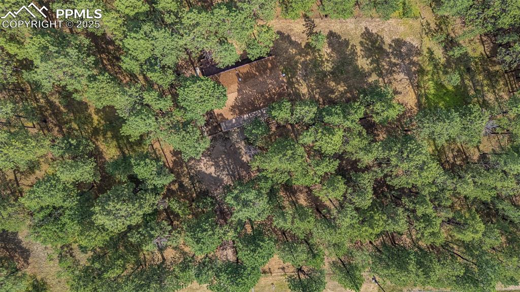 15845 Roller Coaster Road Colorado Springs CO 80921