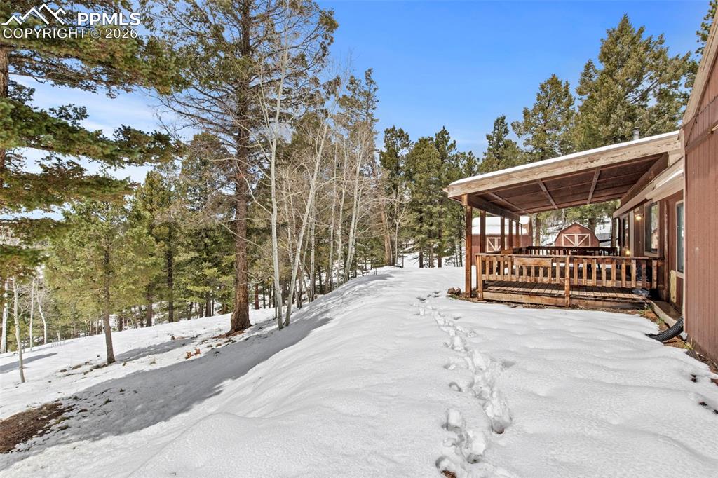 551 Cottonwood Lake Drive Divide CO 80814