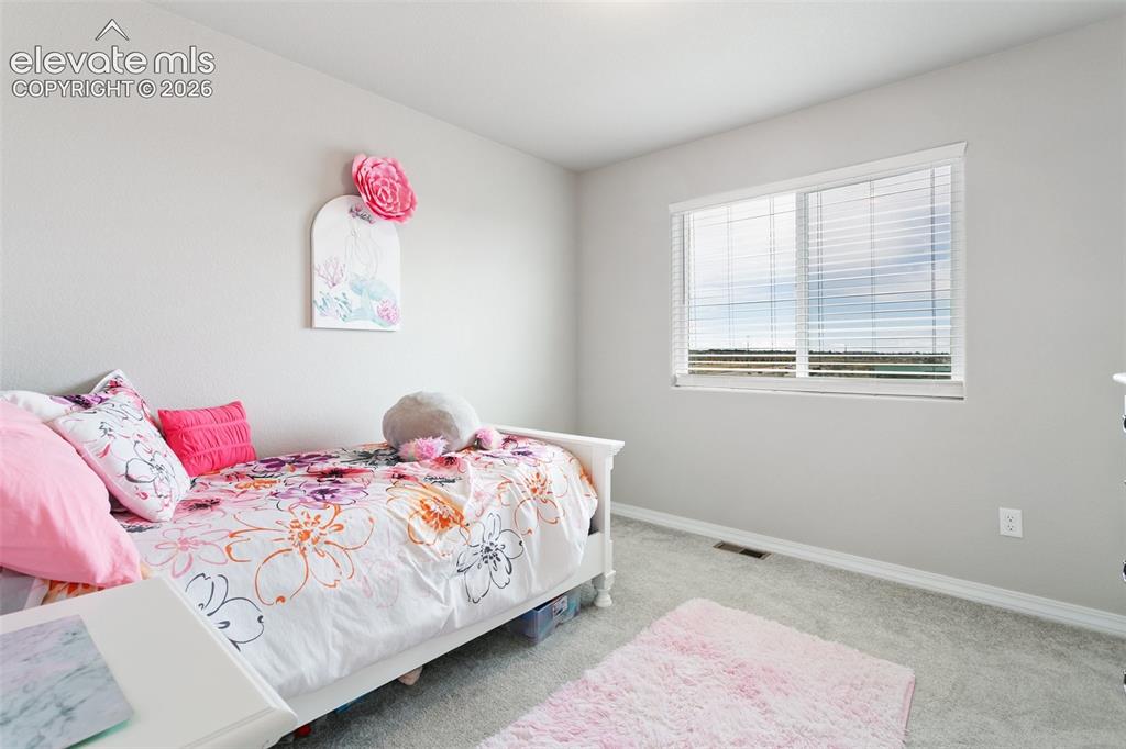7427 Gorgeted Quail Grove Colorado Springs CO 80923