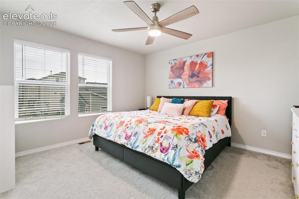 7427 Gorgeted Quail Grove Colorado Springs CO 80923