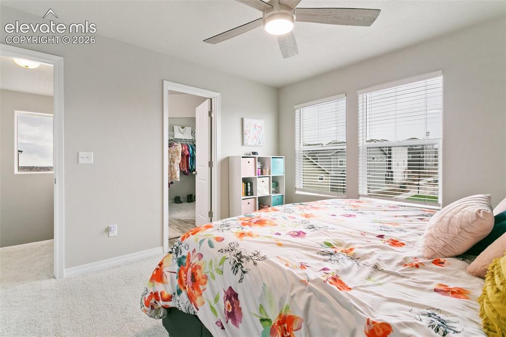 7427 Gorgeted Quail Grove Colorado Springs CO 80923