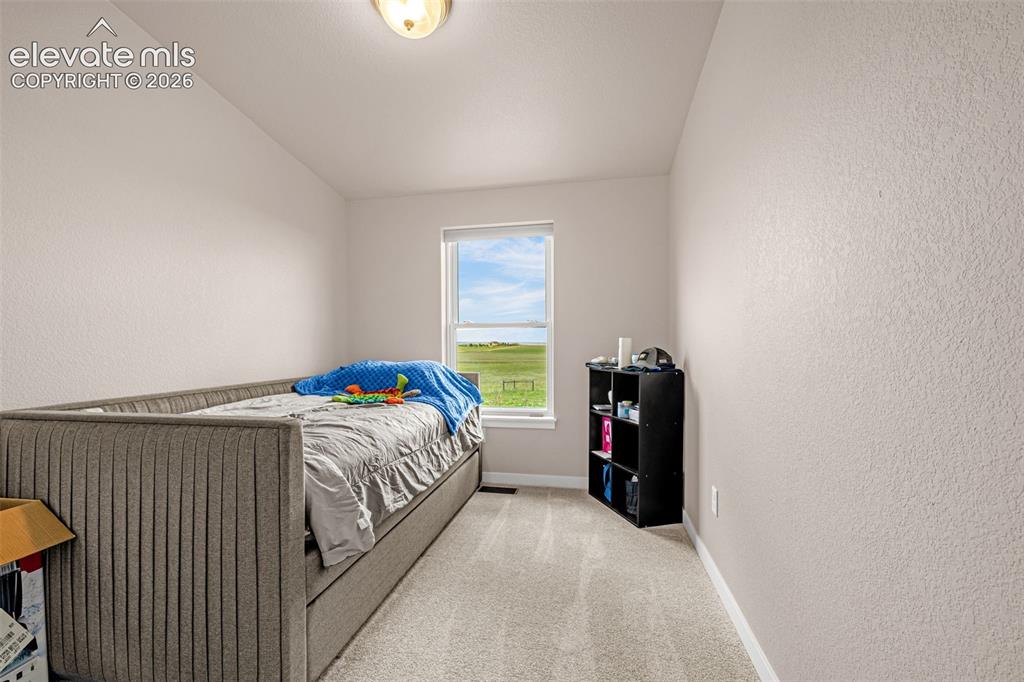 3245 Pennys Peak View Peyton CO 80831