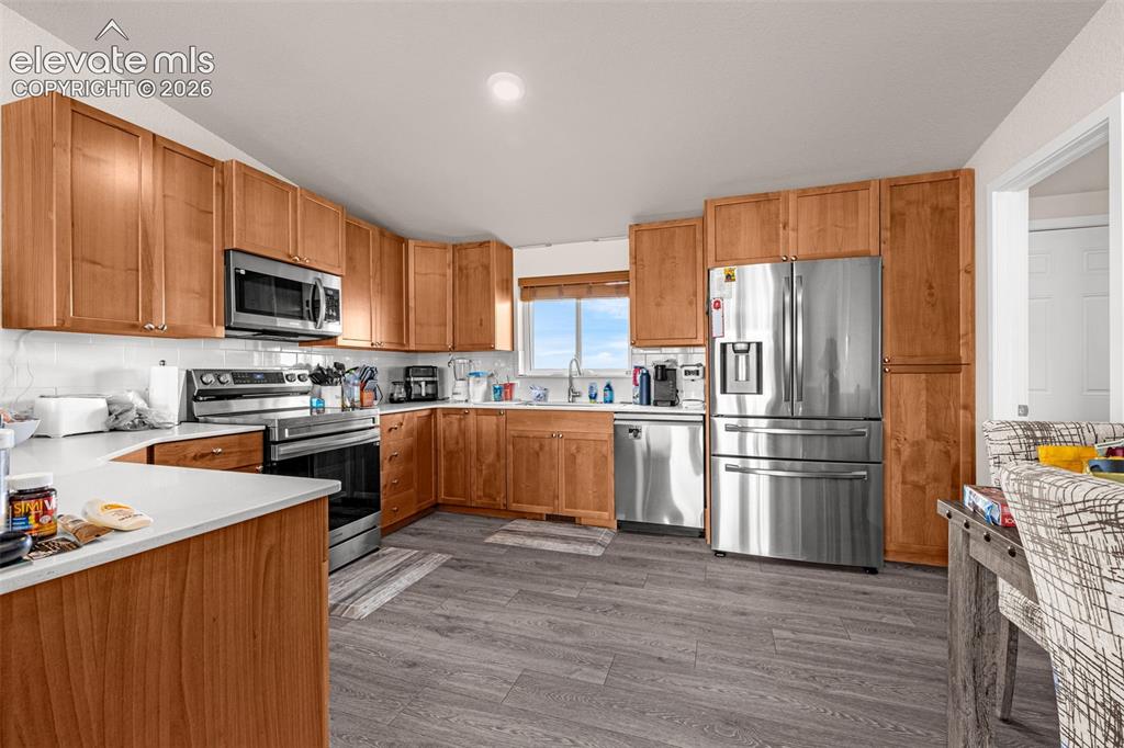 3245 Pennys Peak View Peyton CO 80831