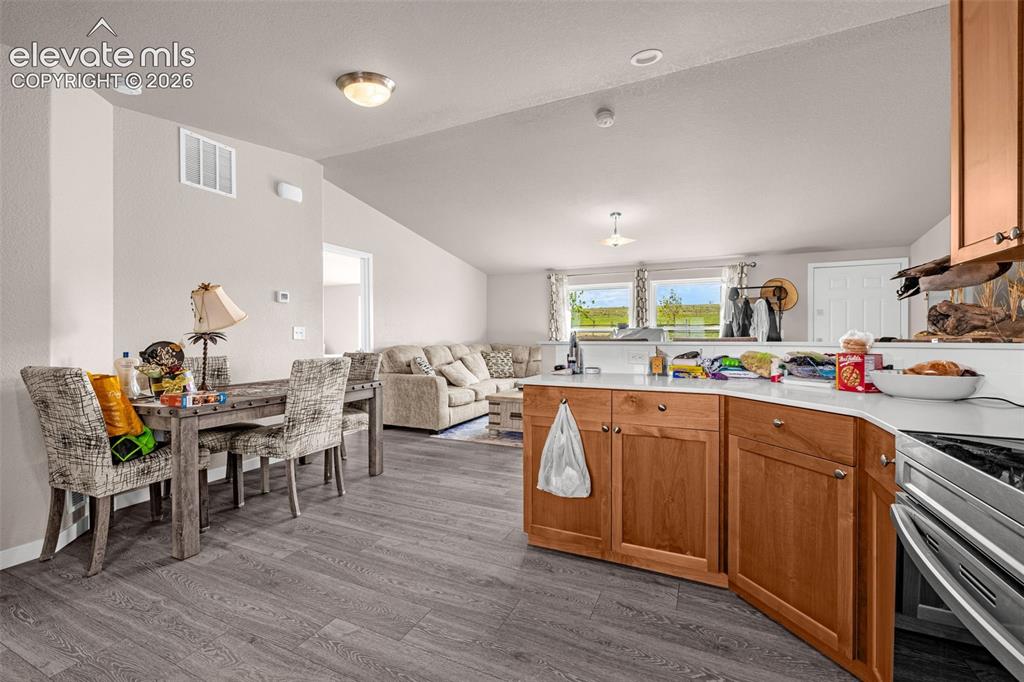 3245 Pennys Peak View Peyton CO 80831
