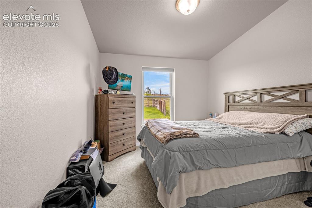 3245 Pennys Peak View Peyton CO 80831