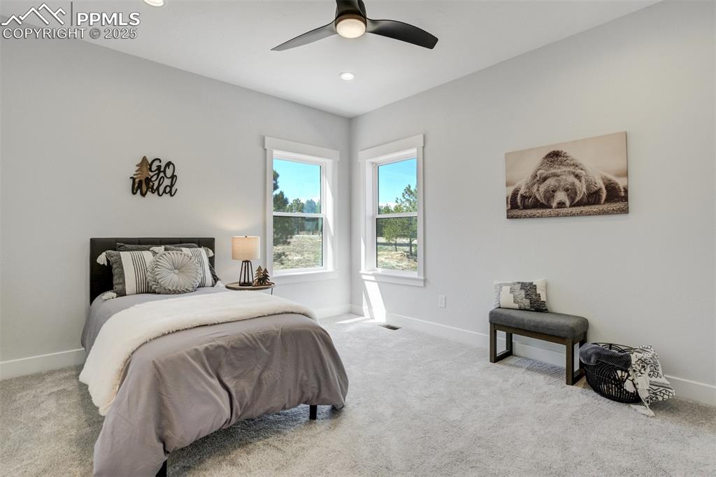 16510 Early Light Drive Colorado Springs CO 80908