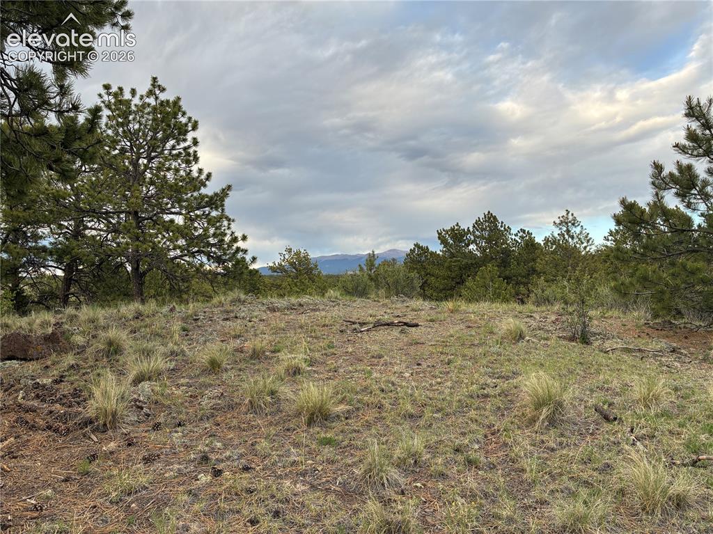 6951 County Road 71 Guffey CO 80820