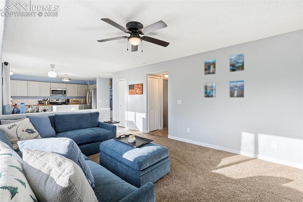 3205 Cowhand Drive Colorado Springs CO 80922