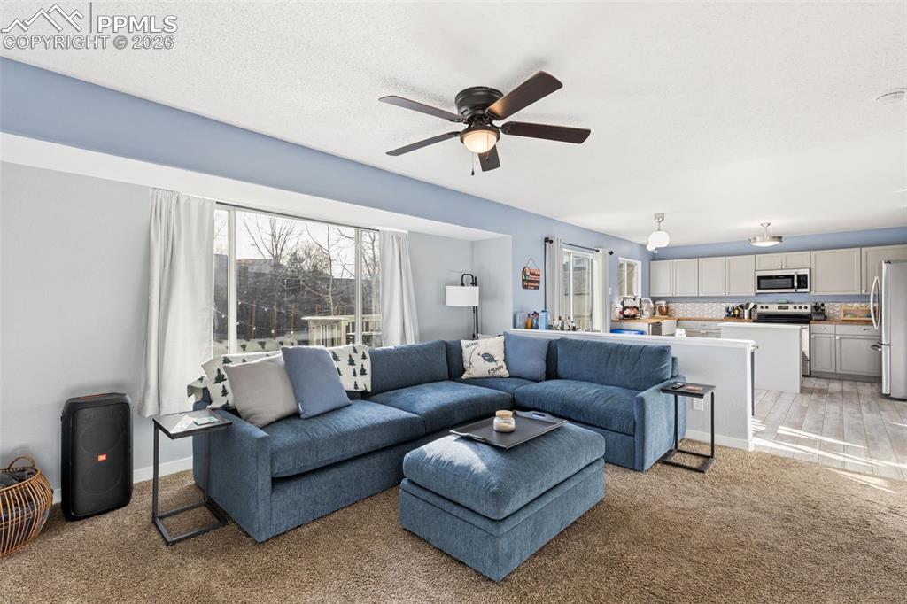 3205 Cowhand Drive Colorado Springs CO 80922