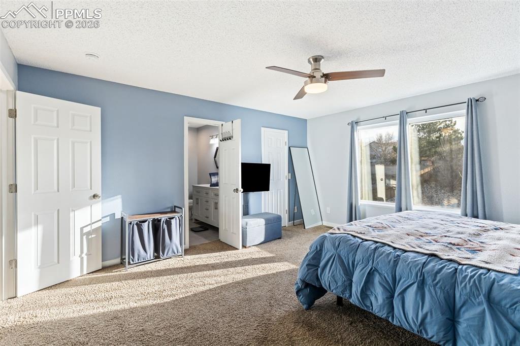 3205 Cowhand Drive Colorado Springs CO 80922