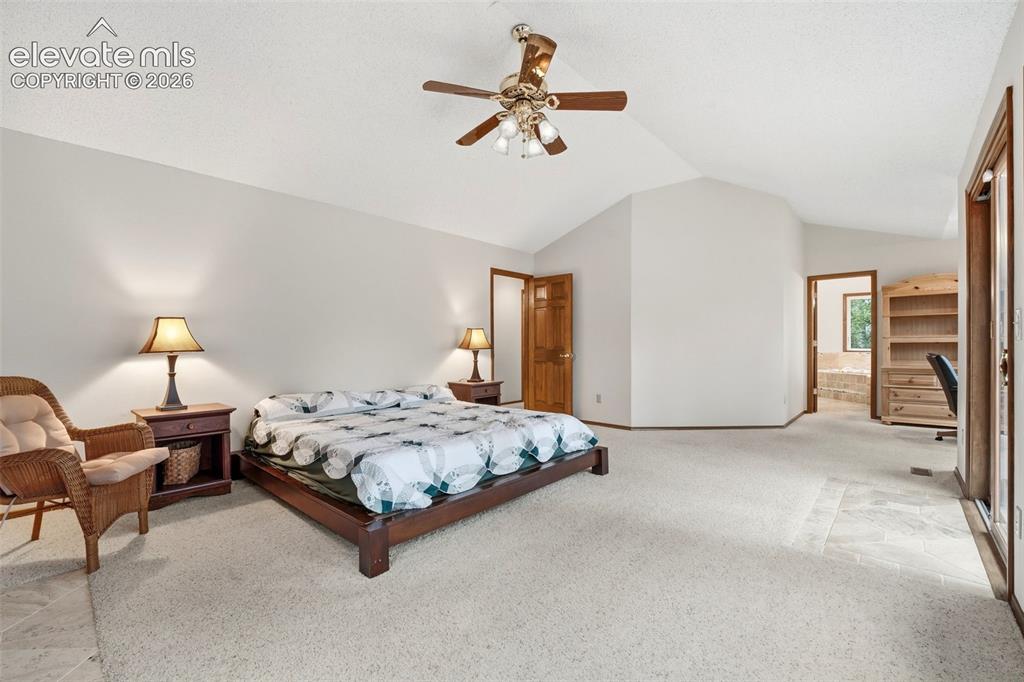 17675 Charter Pines Drive Monument CO 80132