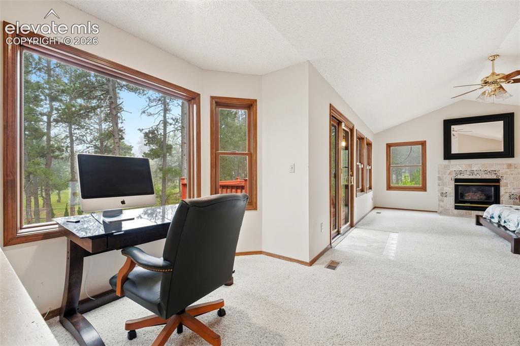 17675 Charter Pines Drive Monument CO 80132