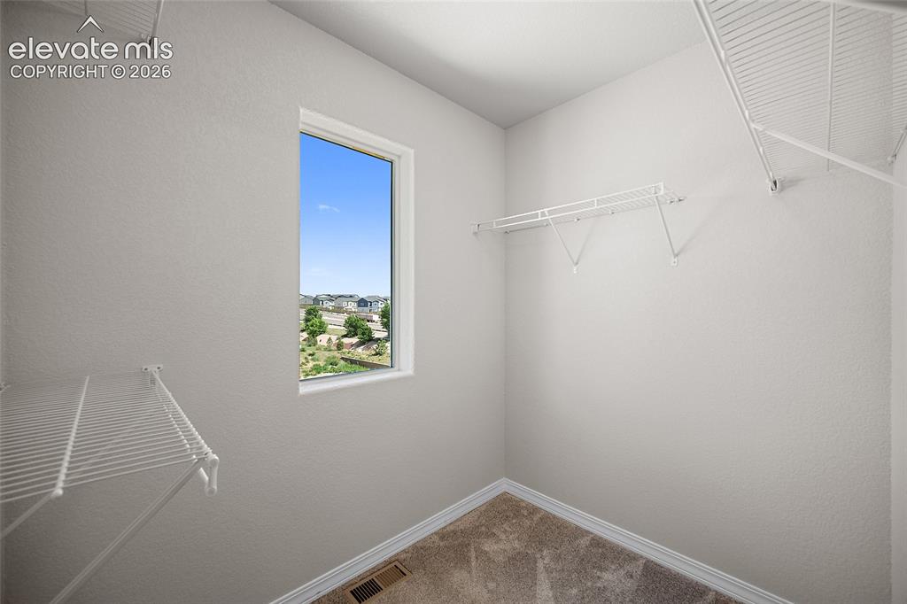 2959 Silver Hawk Drive Colorado Springs CO 80916