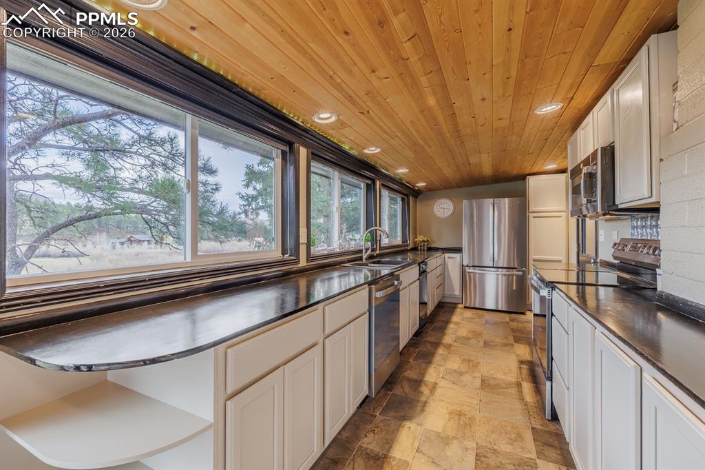 15895 Pine Lake Drive Woodland Park CO 80863