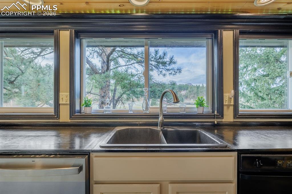 15895 Pine Lake Drive Woodland Park CO 80863