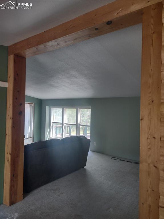 350 Brooks Lane Woodland Park CO 80863