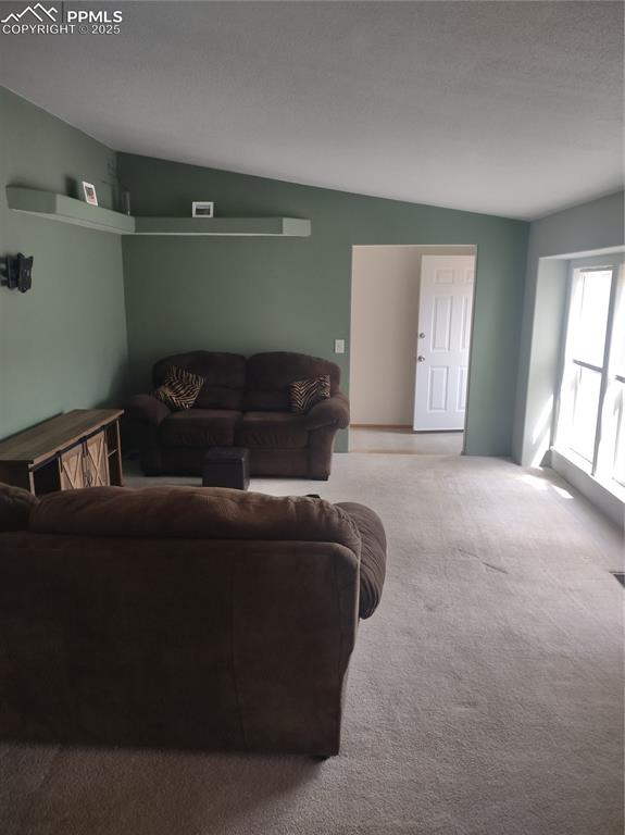 350 Brooks Lane Woodland Park CO 80863