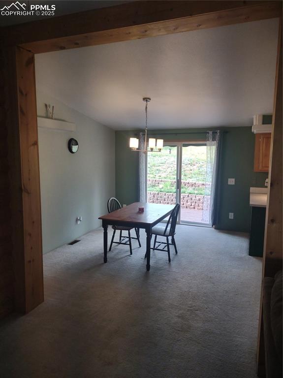 350 Brooks Lane Woodland Park CO 80863