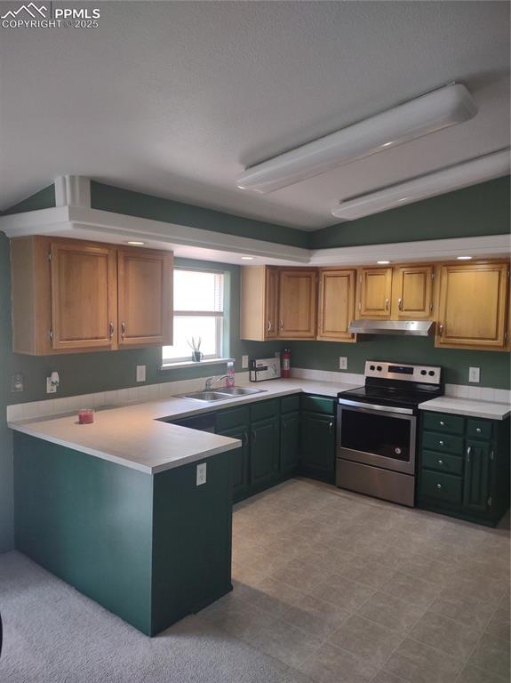 350 Brooks Lane Woodland Park CO 80863