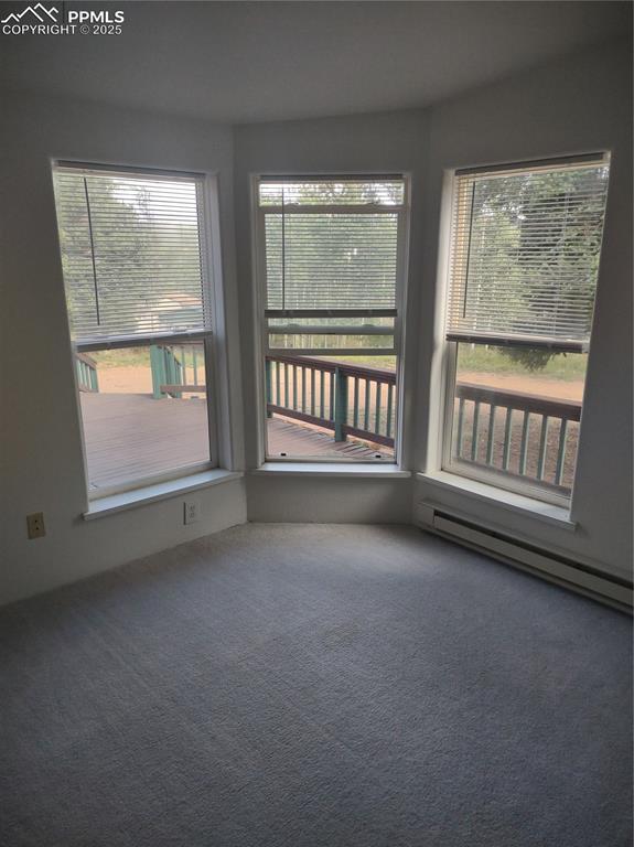 350 Brooks Lane Woodland Park CO 80863