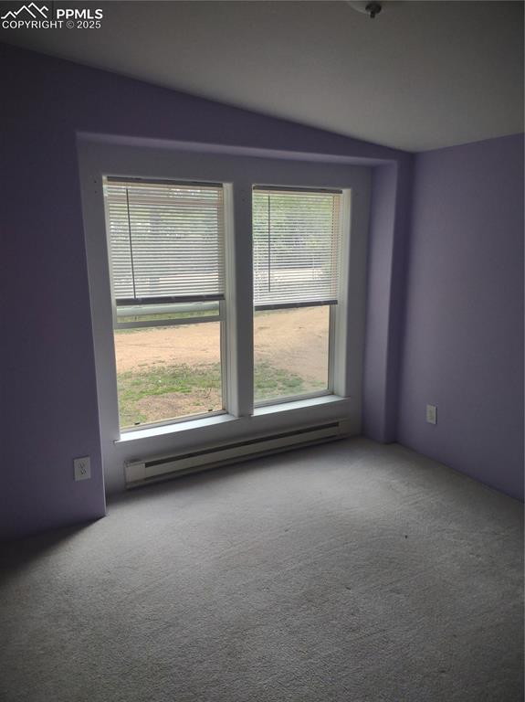 350 Brooks Lane Woodland Park CO 80863
