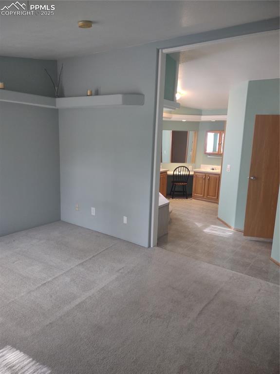 350 Brooks Lane Woodland Park CO 80863