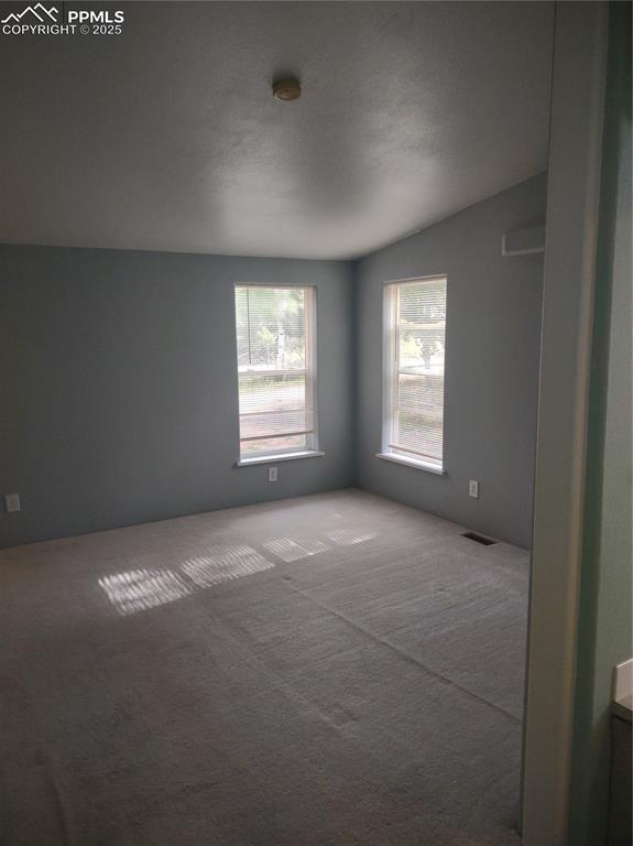 350 Brooks Lane Woodland Park CO 80863