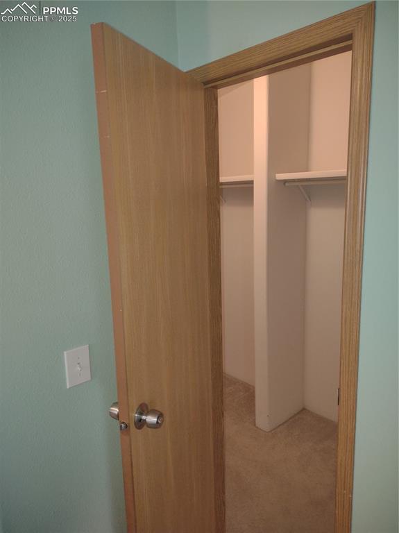 350 Brooks Lane Woodland Park CO 80863