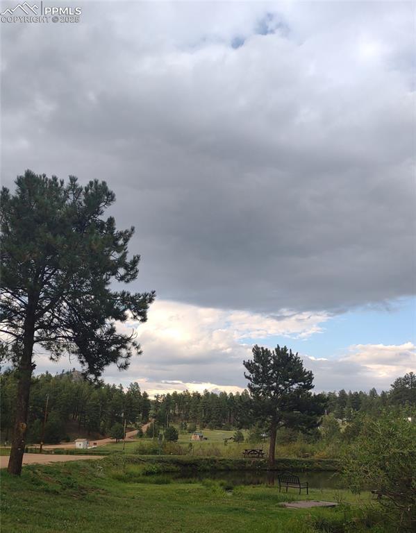 350 Brooks Lane Woodland Park CO 80863
