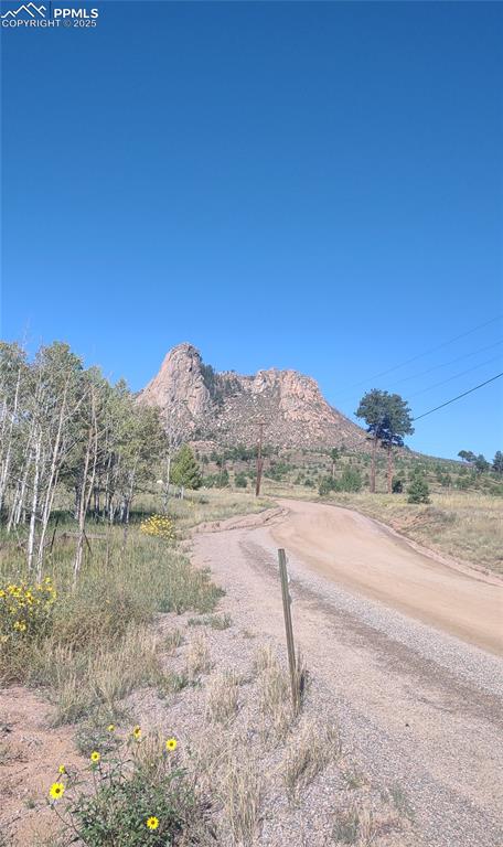 350 Brooks Lane Woodland Park CO 80863