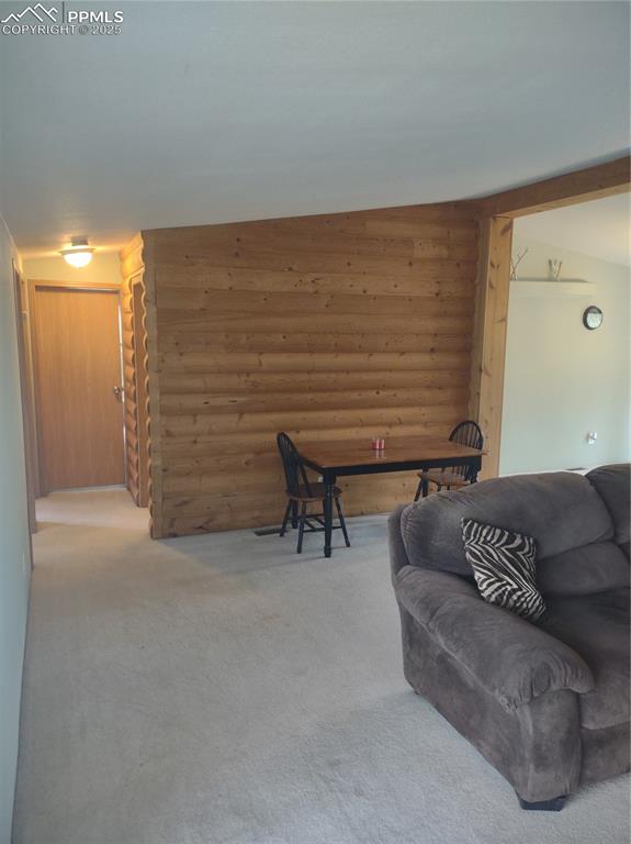 350 Brooks Lane Woodland Park CO 80863