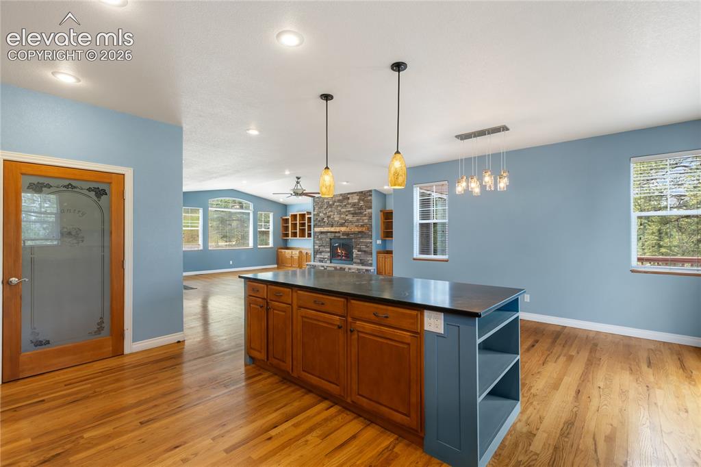 1498 Masters Drive Woodland Park CO 80863