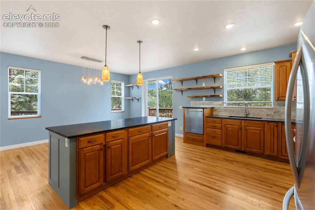 1498 Masters Drive Woodland Park CO 80863